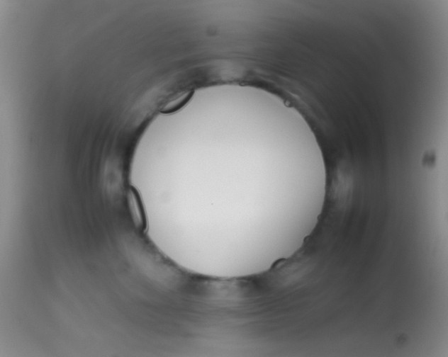 X0000113870524200910151304