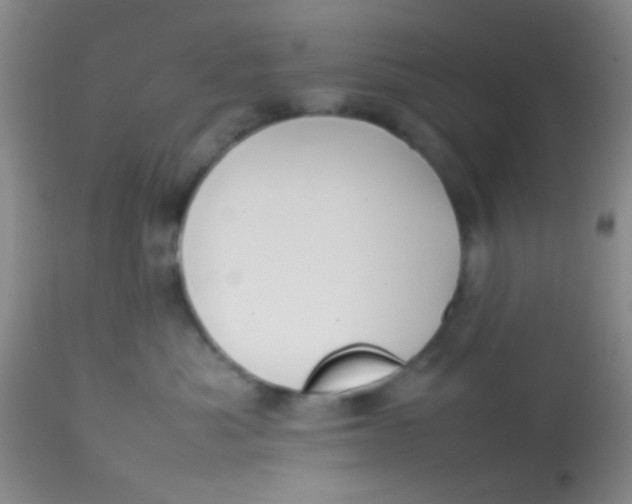 X0000113870525200910151304