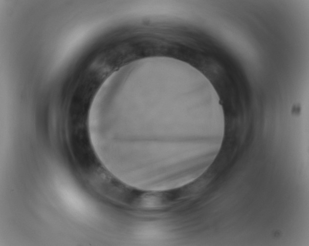 X0000113870526200910151304