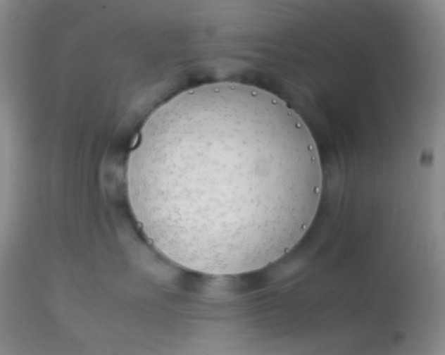 X0000113870527200910151304