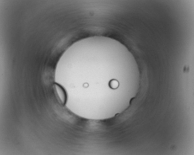 X0000113870528200910151304