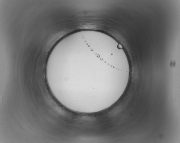 X0000113870529200910151303