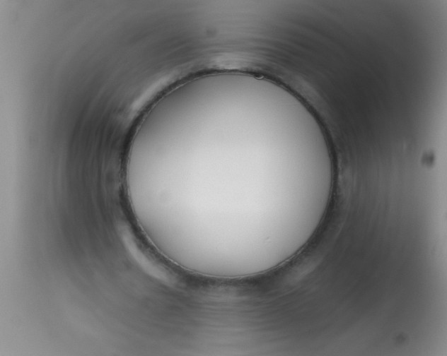 X0000113870530200910151303