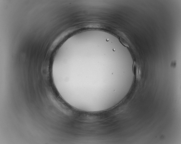 X0000113870531200910151303