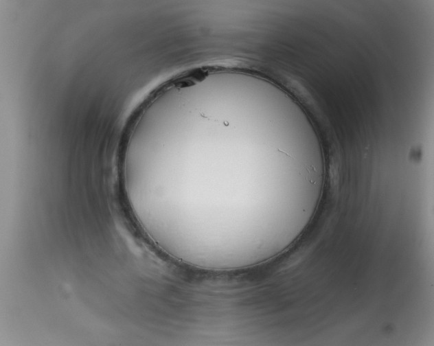 X0000113870532200910151303