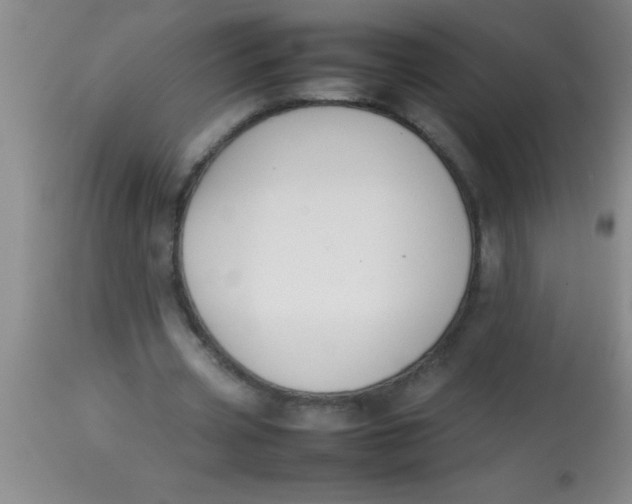 X0000113870533200910151303