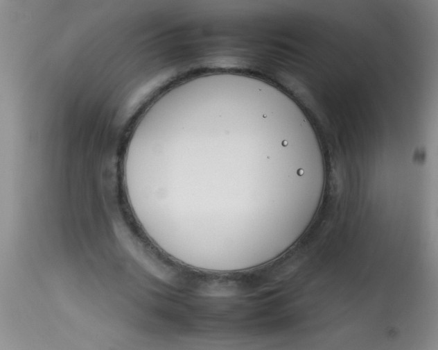 X0000113870535200910151303