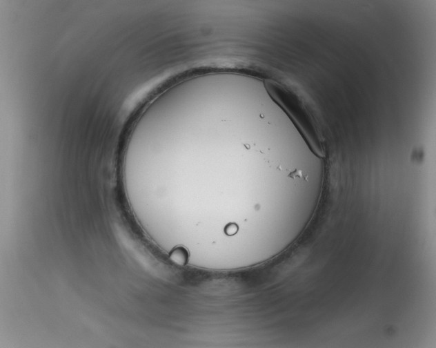 X0000113870536200910151303