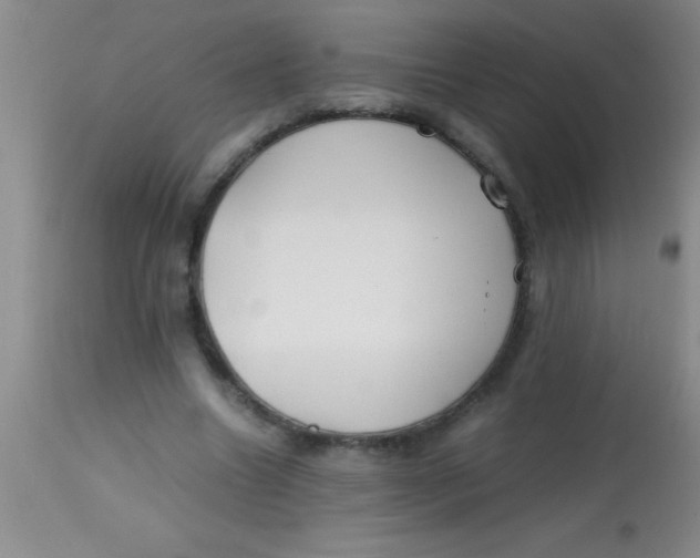 X0000113870538200910151303