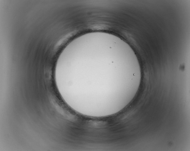 X0000113870539200910151303