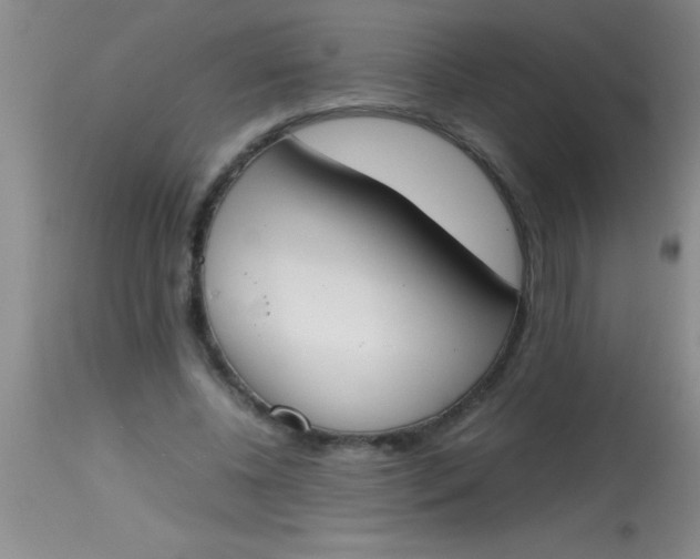 X0000113870540200910151303