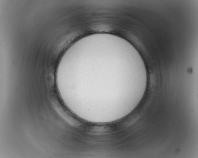 X0000113870541200910151303