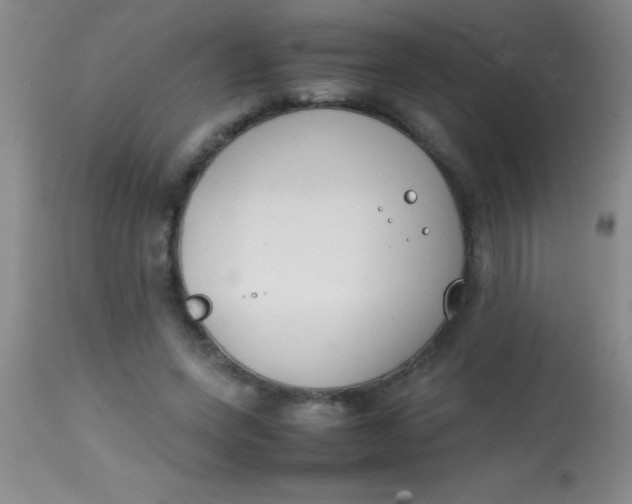 X0000113870543200910151303