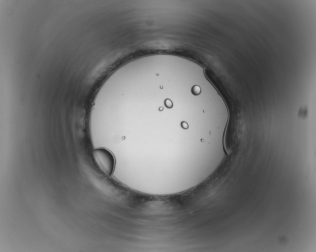 X0000113870544200910151303