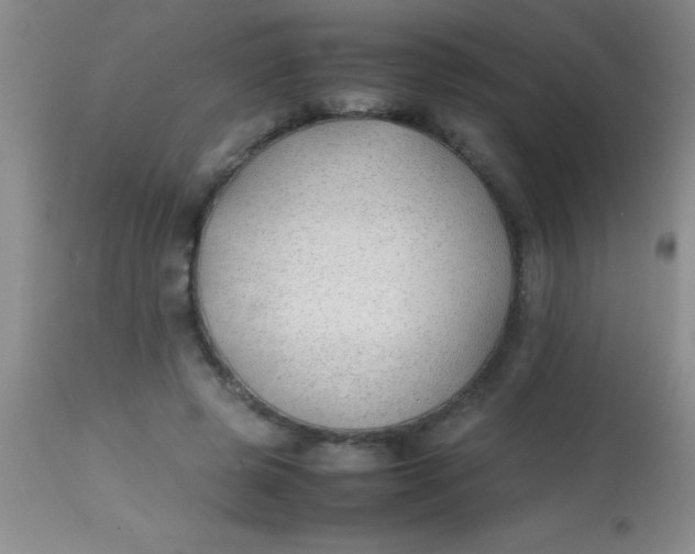 X0000113870545200910151303