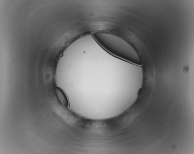 X0000113870546200910151303