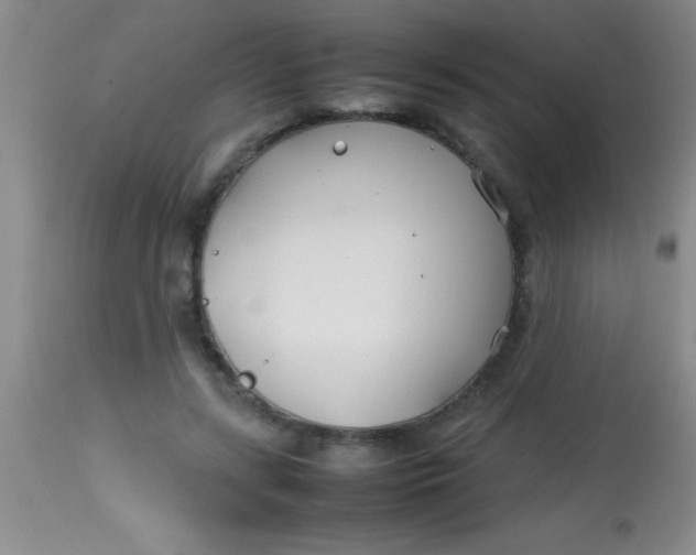 X0000113870547200910151303