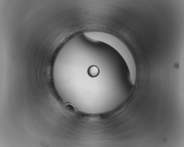 X0000113870548200910151303