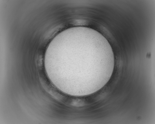 X0000113870549200910151303