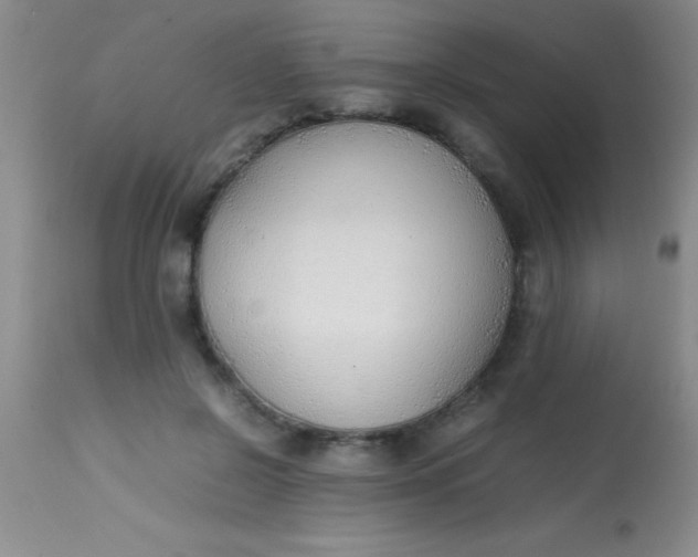 X0000113870550200910151303