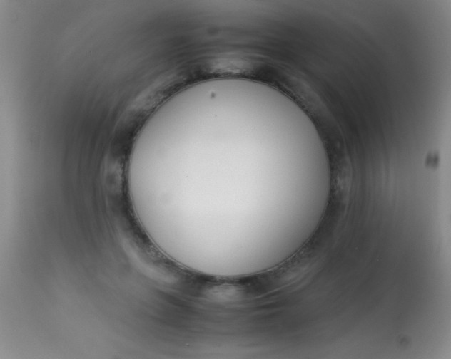 X0000113870551200910151303