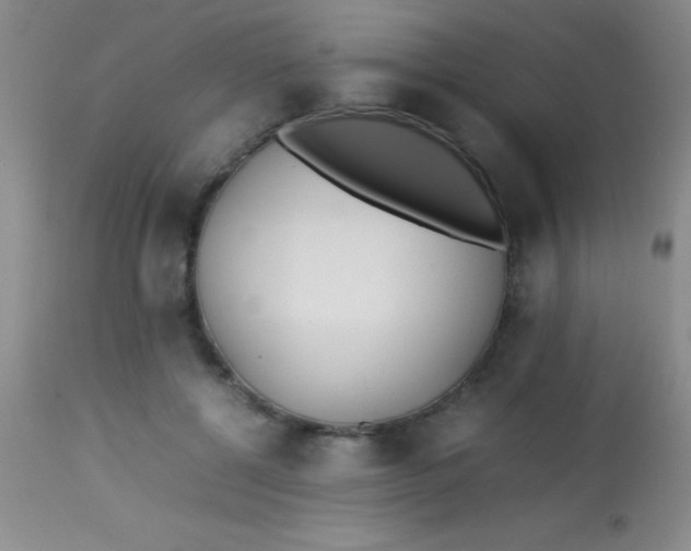 X0000113870552200910151303