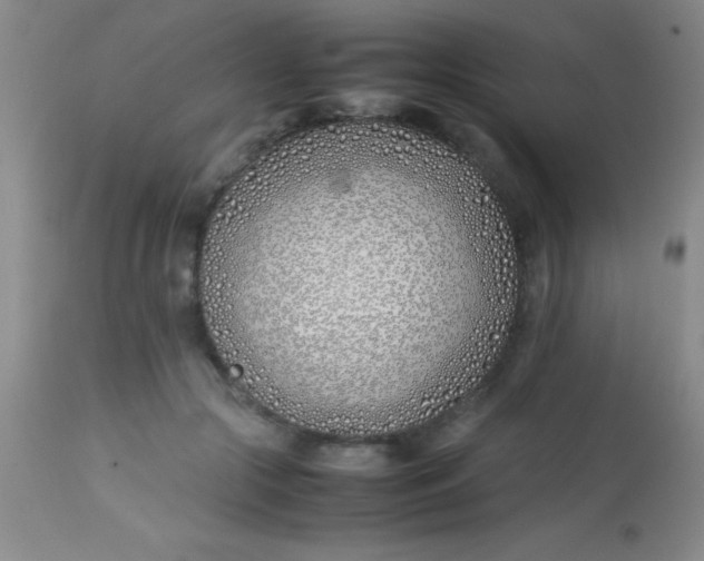 X0000113870553200910151303