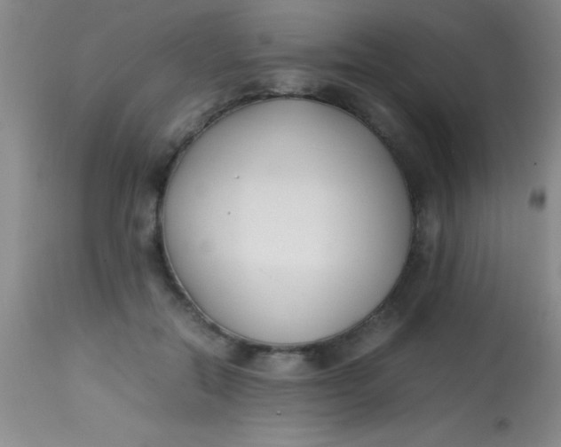 X0000113870554200910151303