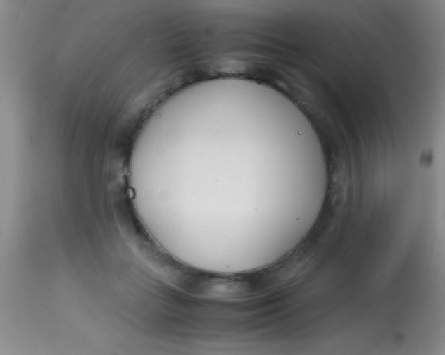 X0000113870555200910151304