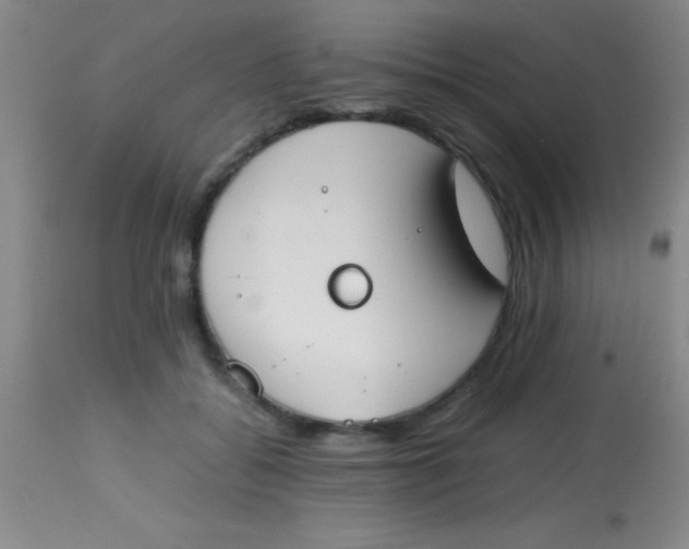 X0000113870556200910151304