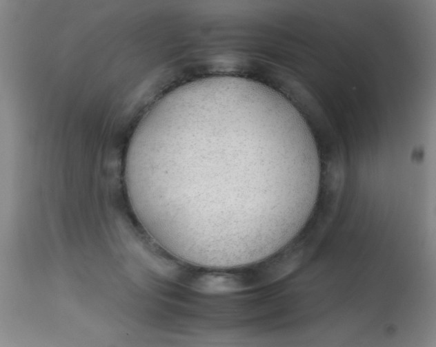 X0000113870557200910151304