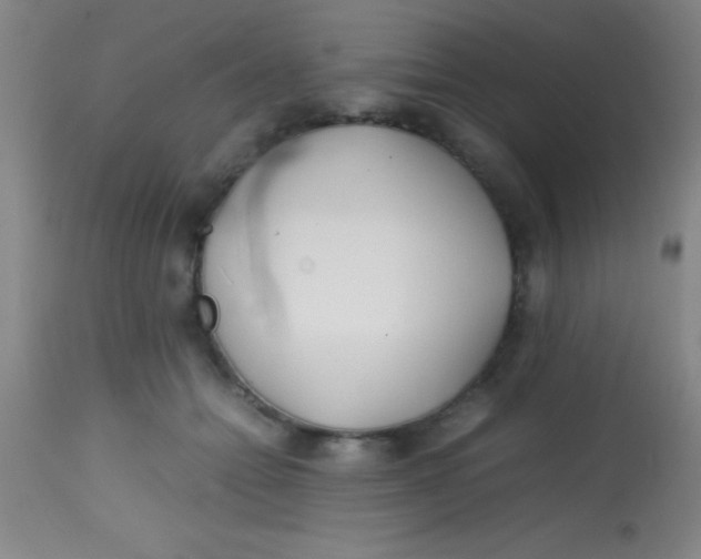 X0000113870558200910151304