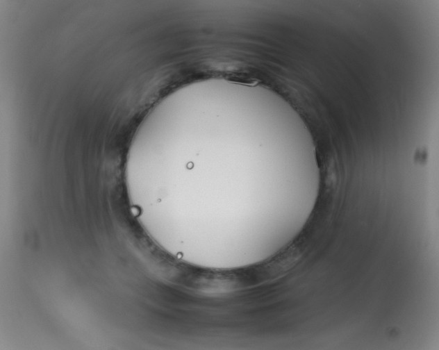 X0000113870559200910151304