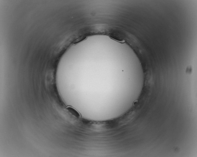 X0000113870560200910151304