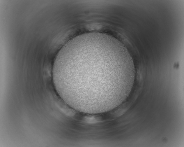 X0000113870561200910151304