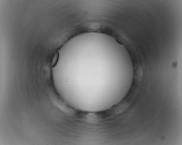 X0000113870562200910151304