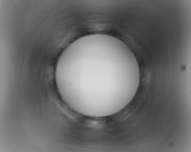 X0000113870563200910151304