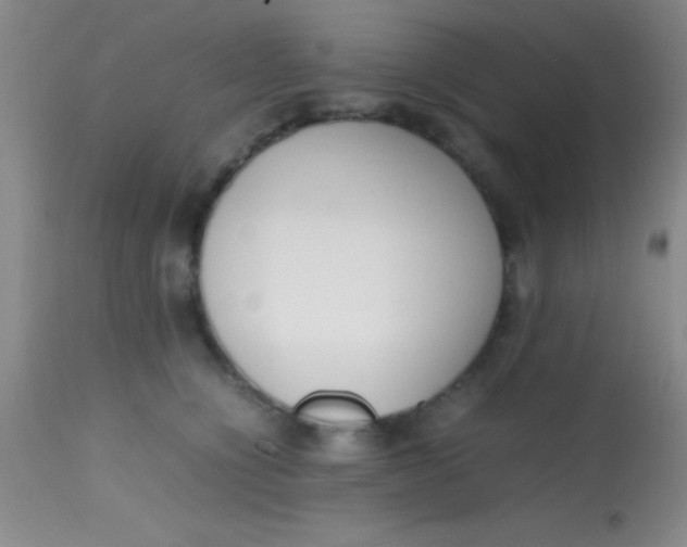 X0000113870564200910151304