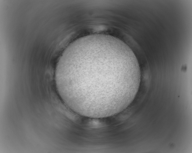 X0000113870565200910151304