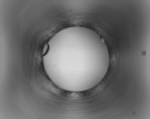 X0000113870566200910151304