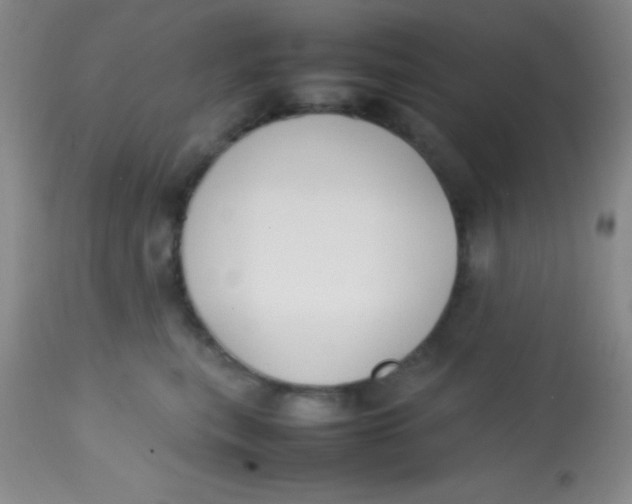 X0000113870567200910151304