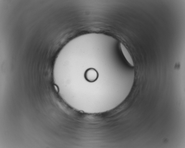 X0000113870568200910151304