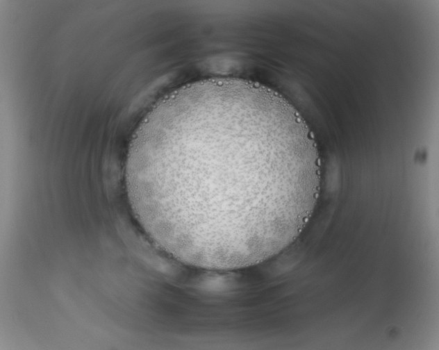 X0000113870569200910151304