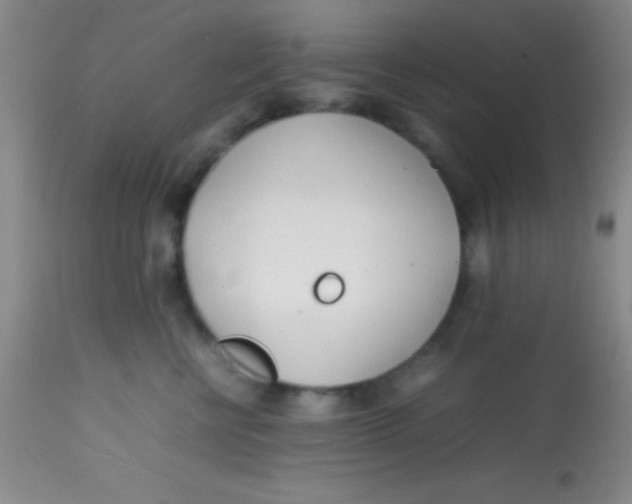 X0000113870570200910151304