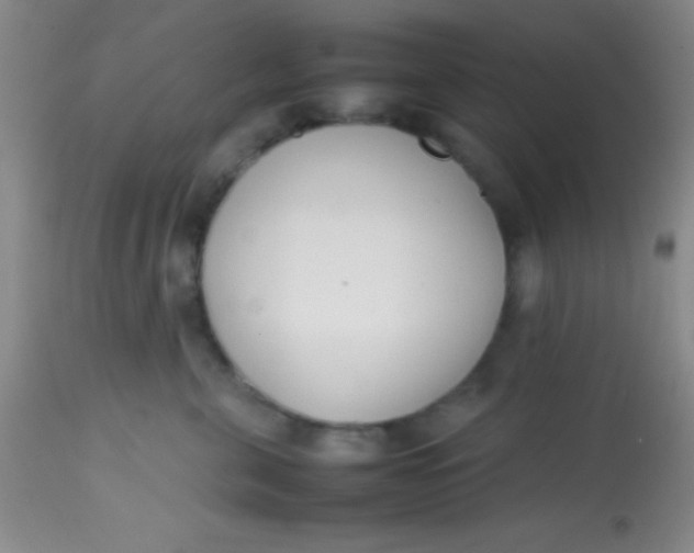 X0000113870571200910151304