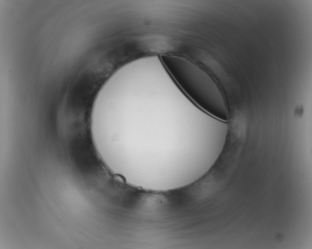 X0000113870572200910151304