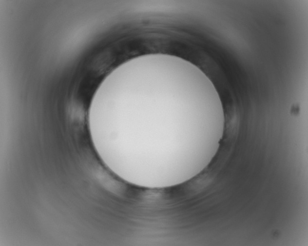 X0000113870574200910151304