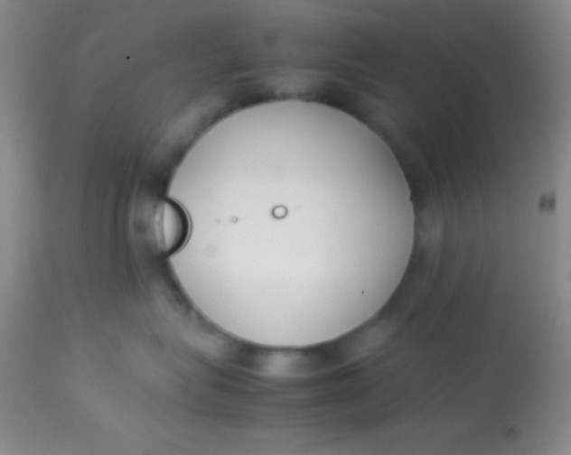 X0000113870575200910151304