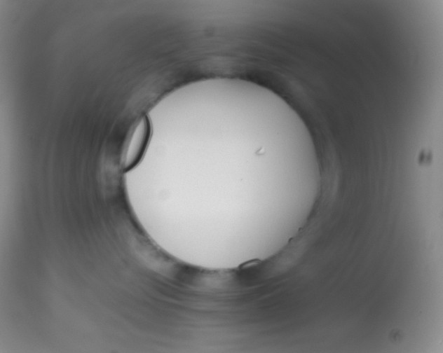 X0000113870576200910151304