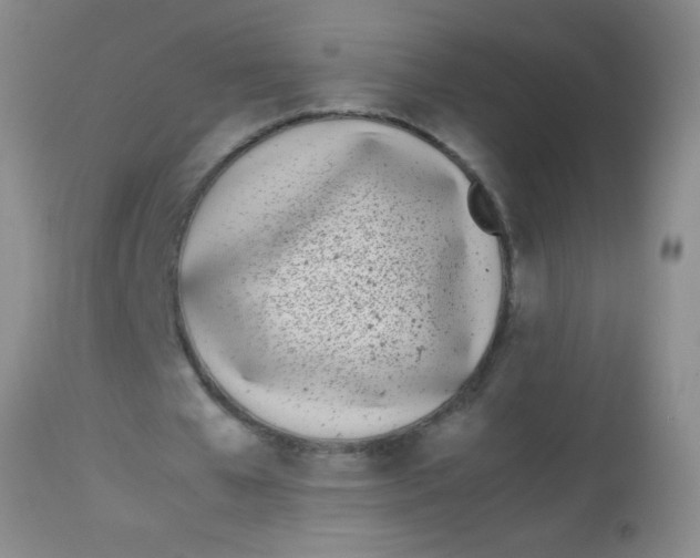 X0000113870577200910151303